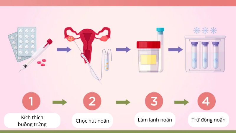 Quy Trình trữ đông noãn