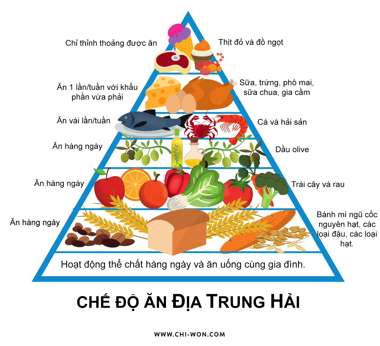 buồng trứng đa nang 2 buồng trứng đa nang 4